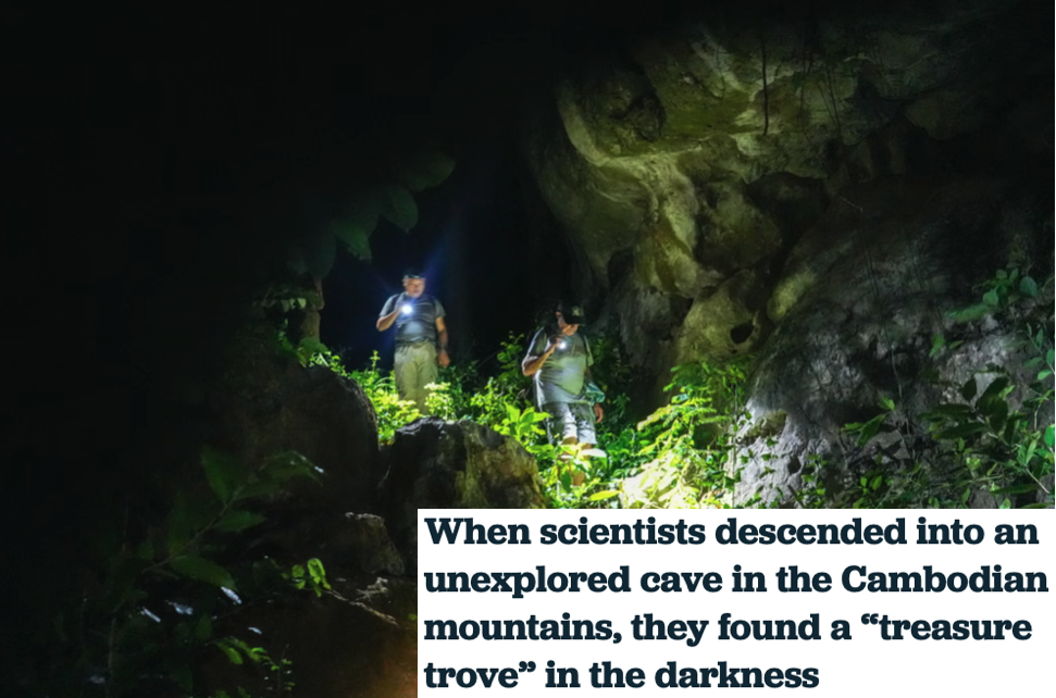 Cambodia expedition feature